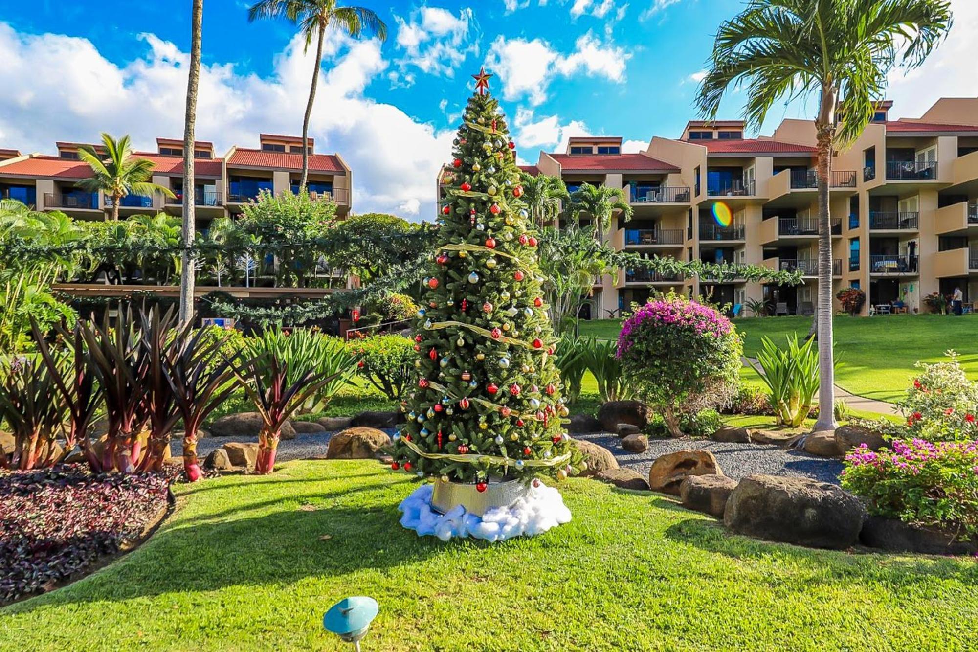 Kamaole Sands Wailea  Phòng bức ảnh
